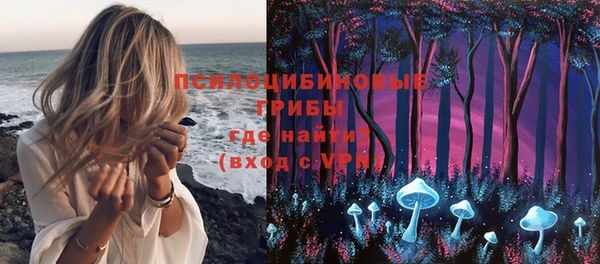 молекула духа Аркадак