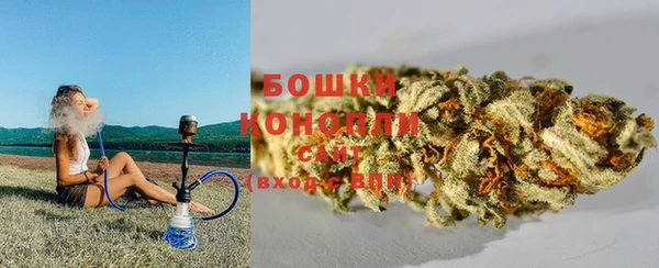 индика Балабаново
