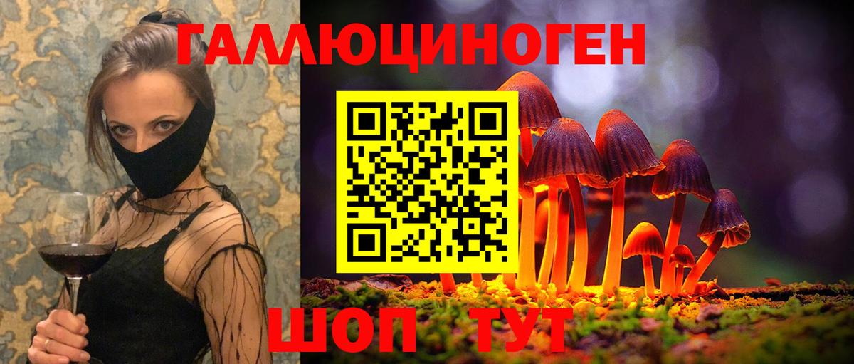 Галлюциногенные грибы прущие грибы Курганинск